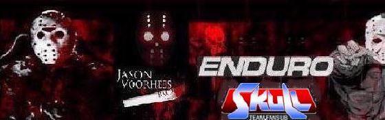 Enduro_Banner_(Skrull).thumb.jpg.d5a0ba4