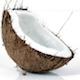 interactivecoconut